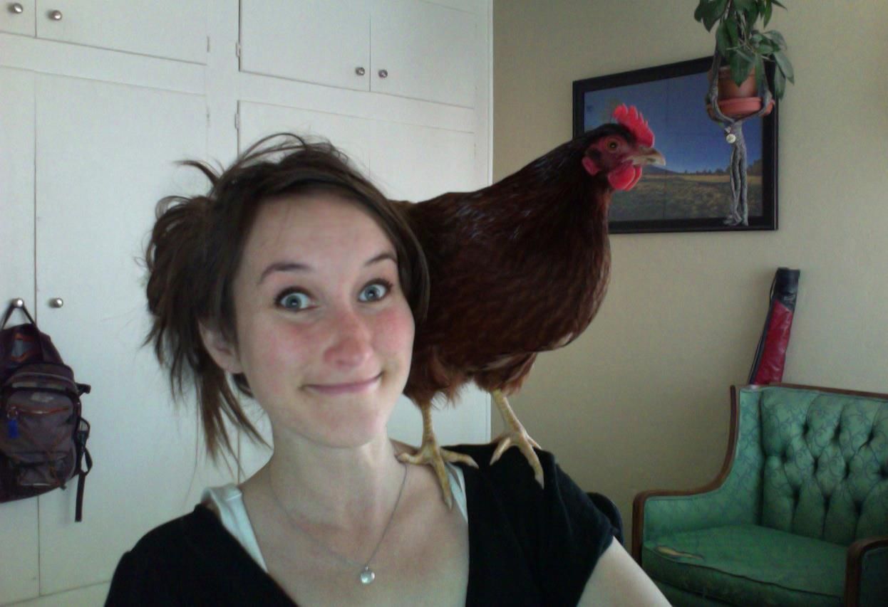 Readers show their chickens